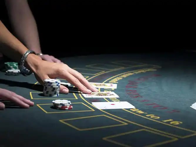 casino88